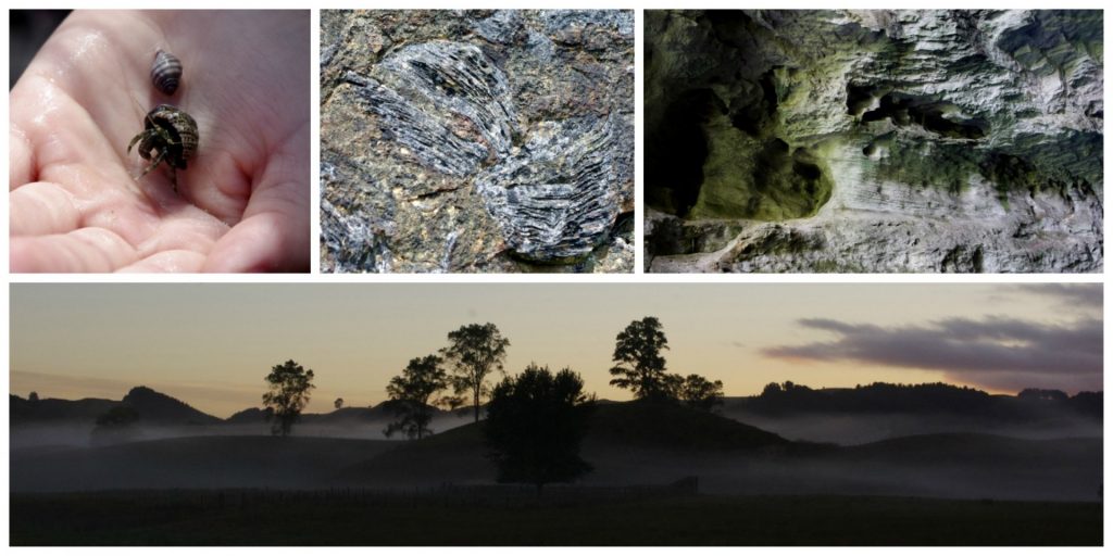 PicMonkey Collage2
