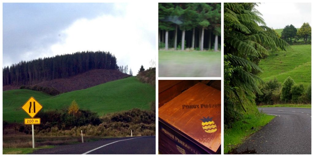 PicMonkey Collage2