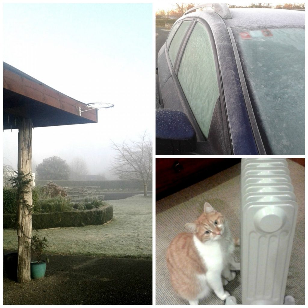 PicMonkey Collage